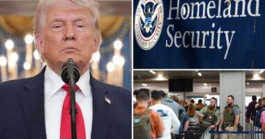 Trump orders DHS to pay âeach and every employeeâ as shutdown drags on